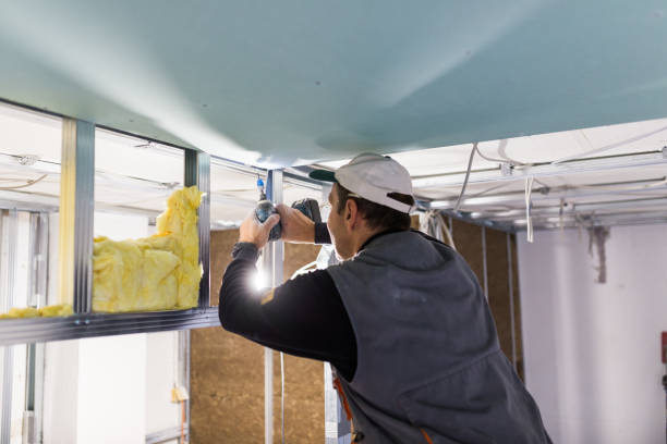 Best Eco-Friendly Insulation in Hidden Valley Lake, CA